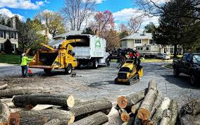 Best Tree Preservation Services  in Bell Acres, PA